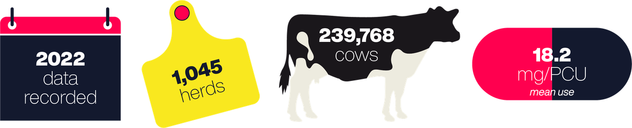 2022 Summary infographic