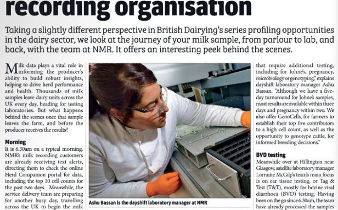 A day in the life of snippet