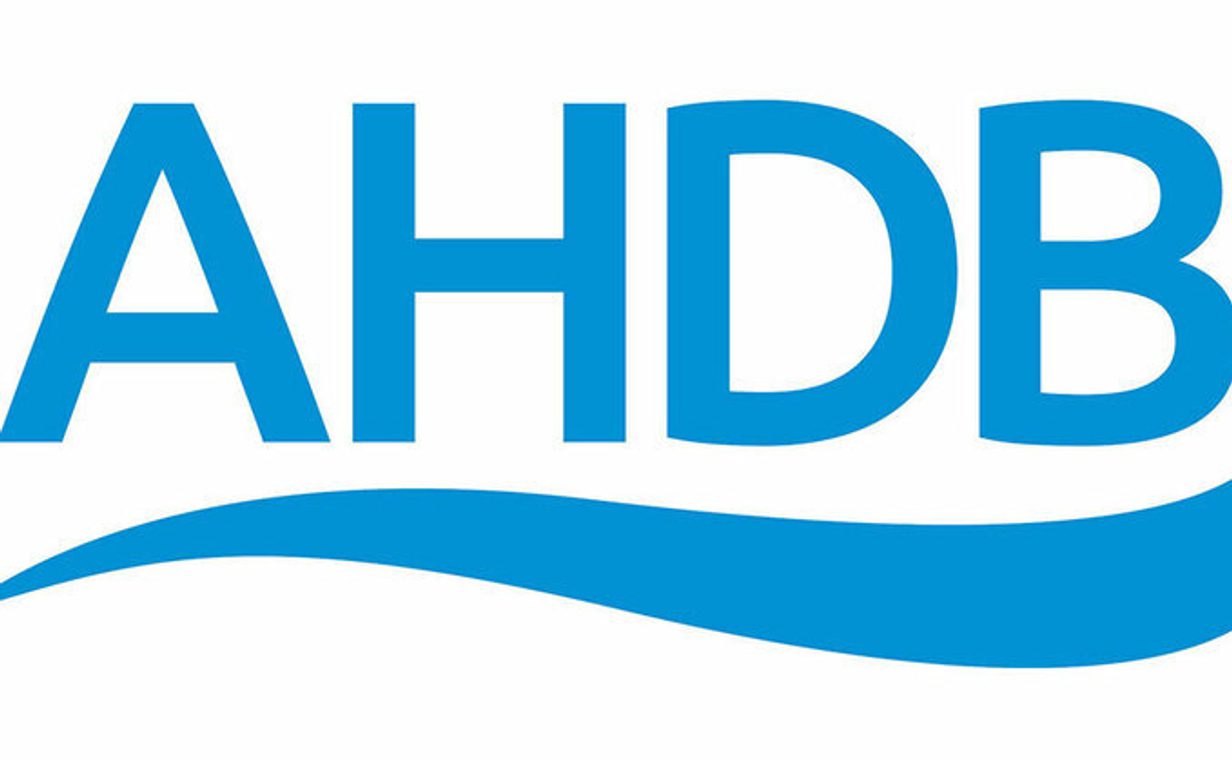 AHDB logo 679x419