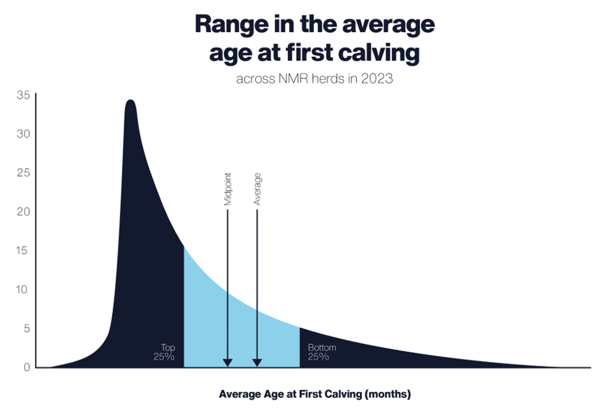 Average Age at First Calving bell curve no data