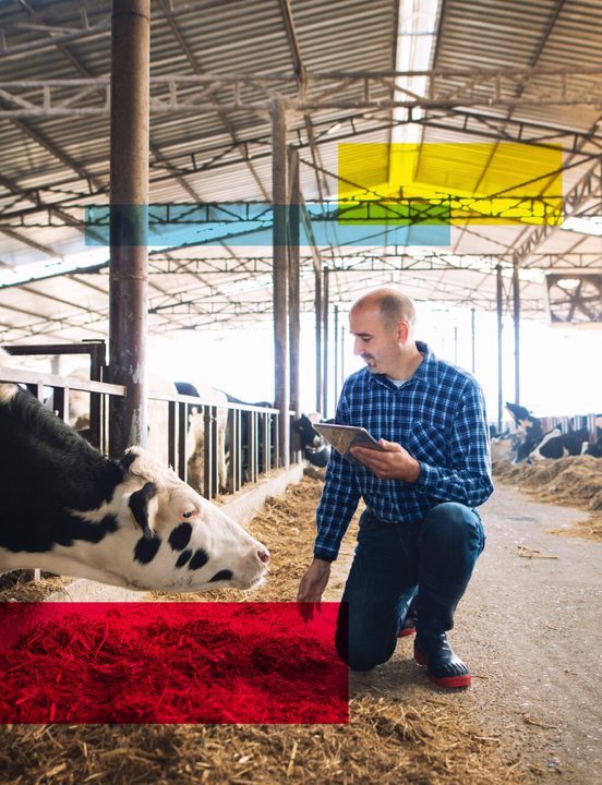 Farmer with tablet