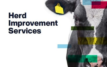 Front cover extract 2025