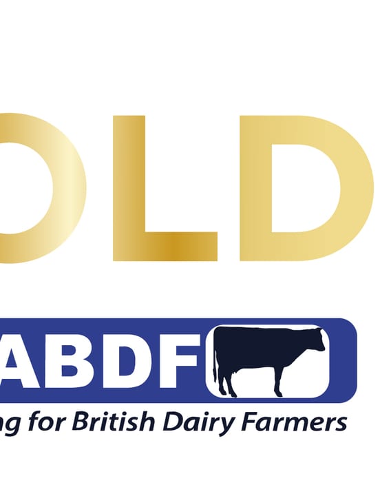 Gold Cup New