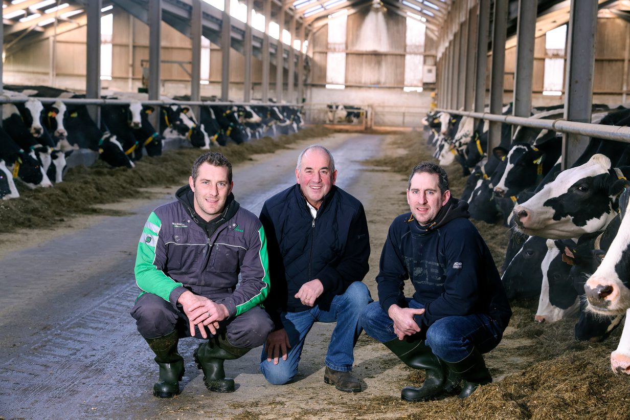 Graham Farms L R Stuart William and Jason Graham 2