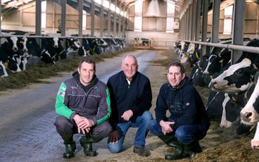 Graham Farms L R Stuart William and Jason Graham 2