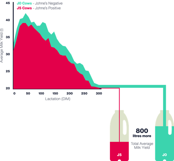 National Milk Records Homepage national-milk-records-homepage