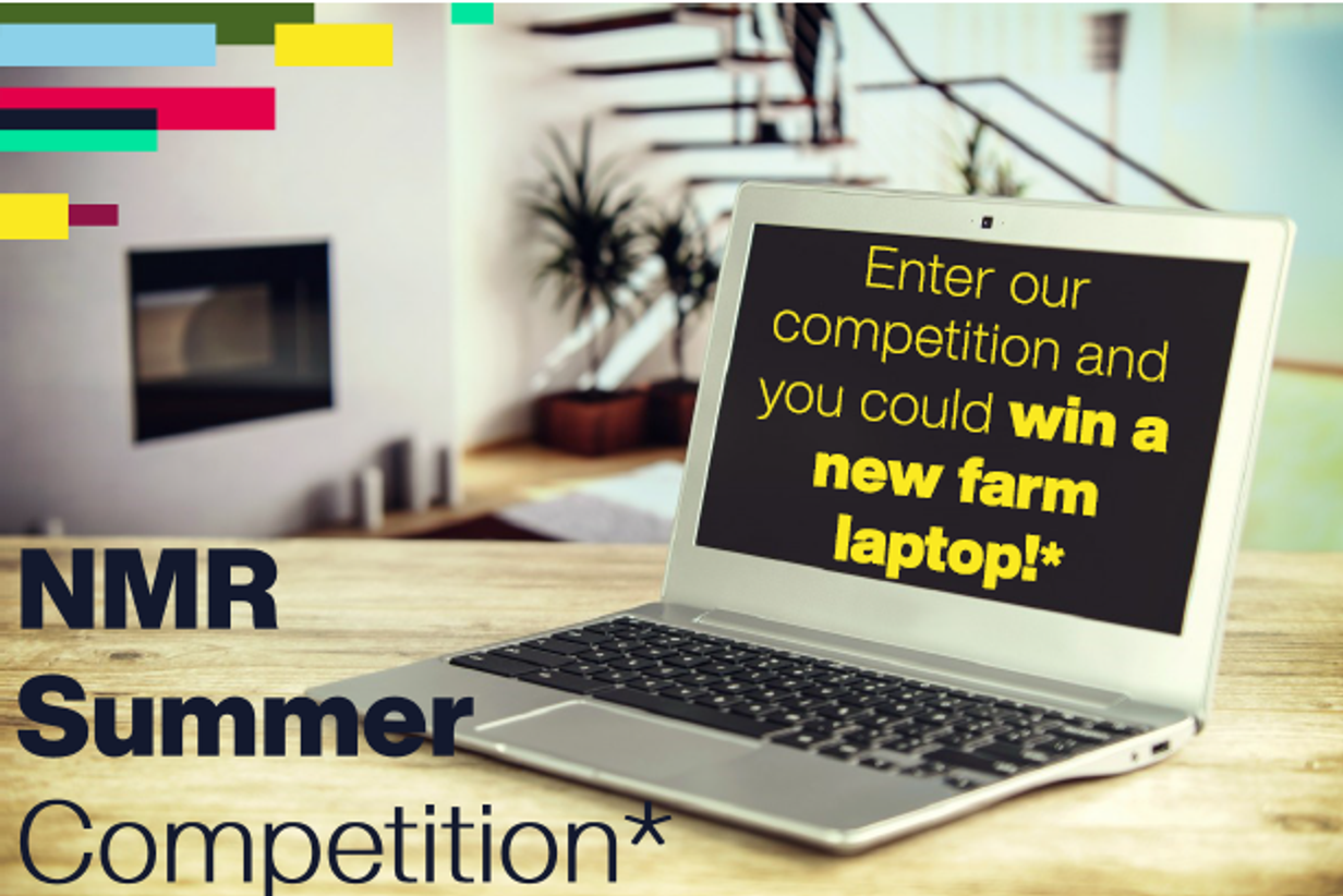 Summer Competition image