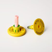 Cattle button dna eidf yellow