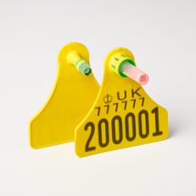 Nordic Star | DNA Tags & Sampling